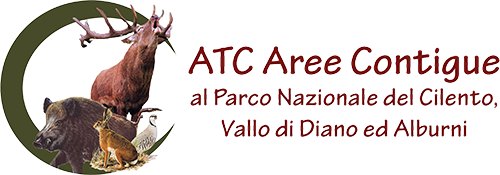 ATC Salerno 2