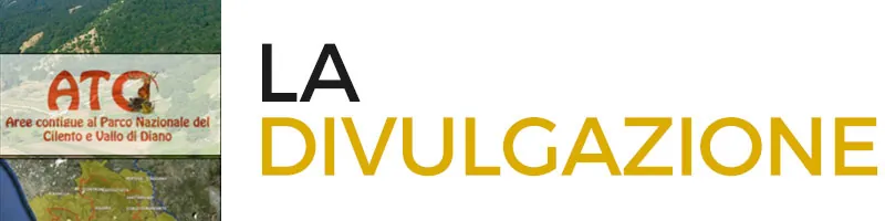 La divulgazione